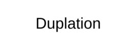cropped duplation logo.png